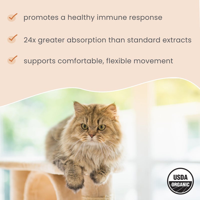 Dr. Mercola Bark & Whiskers Organic Curcumin, 2.64 Oz. (75 g), 300 Scoops, Promotes Mobility & Joint Health, Veterinarian Formulated, Non-GMO, Certified USDA Organic, Dr. Mercola - Image 5